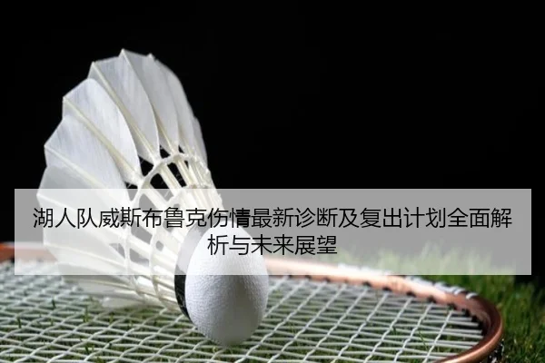 湖人队威斯布鲁克伤情最新诊断及复出计划全面解析与未来展望